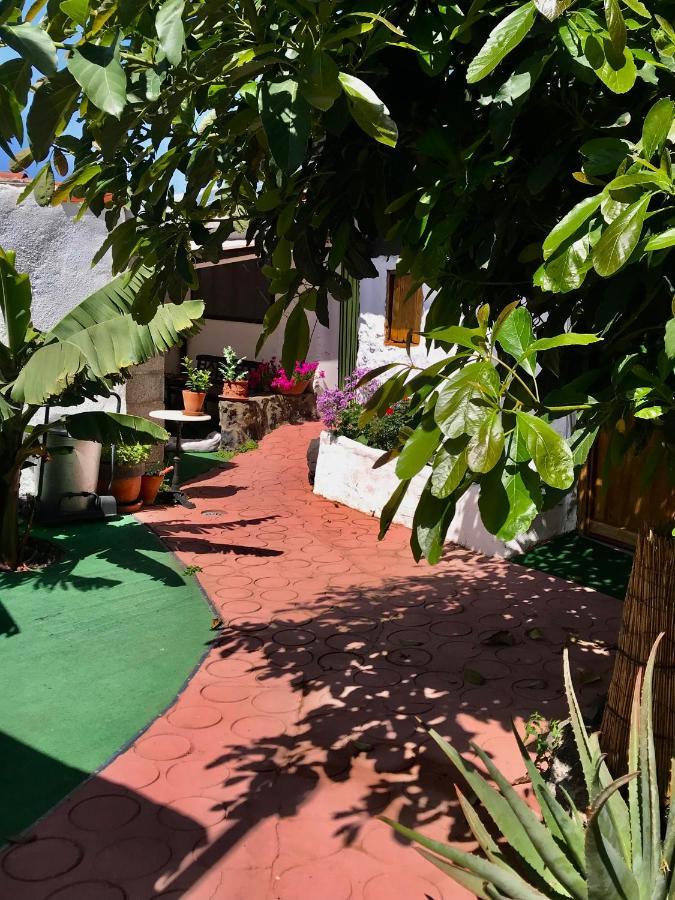 Finca Casa Madera 1 Icod De Los Vinos Exteriér fotografie