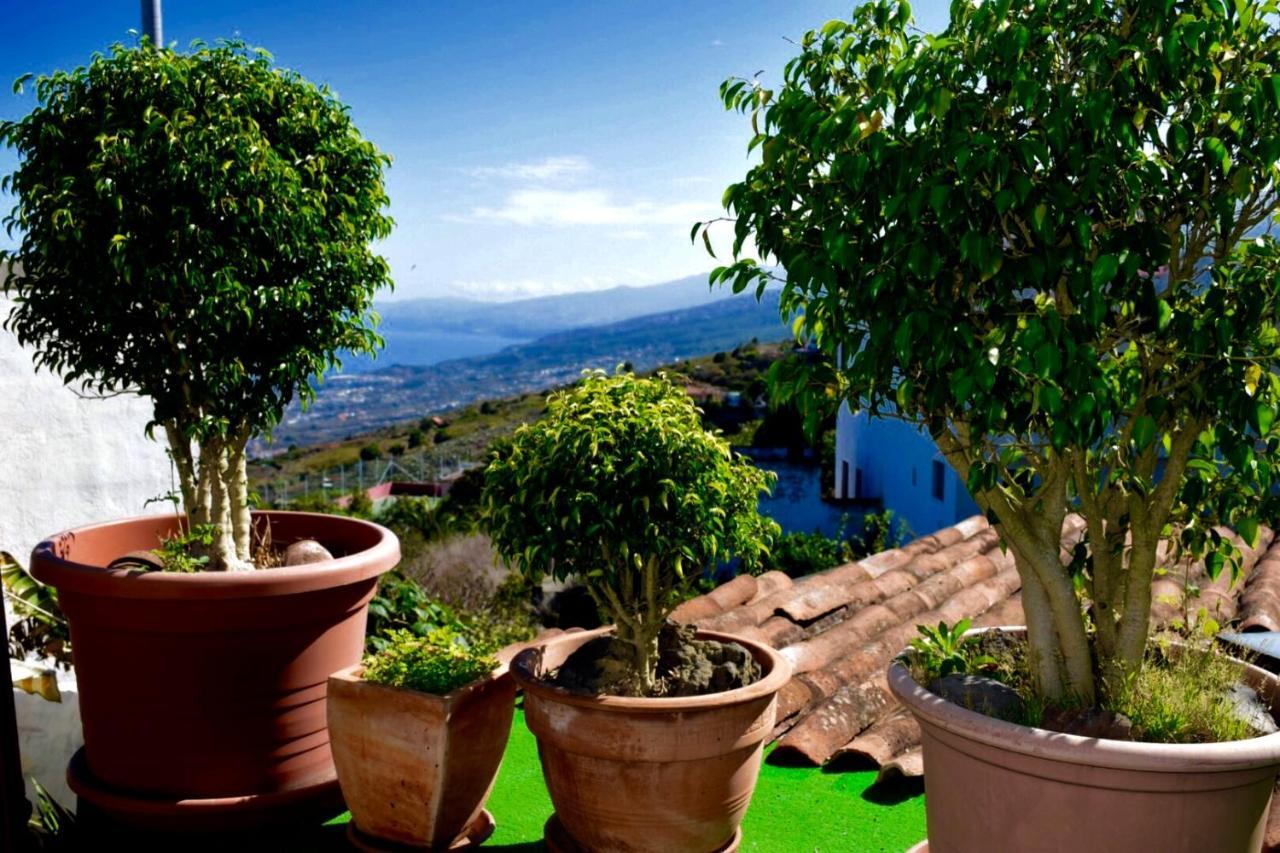 Finca Casa Madera 1 Icod De Los Vinos Exteriér fotografie